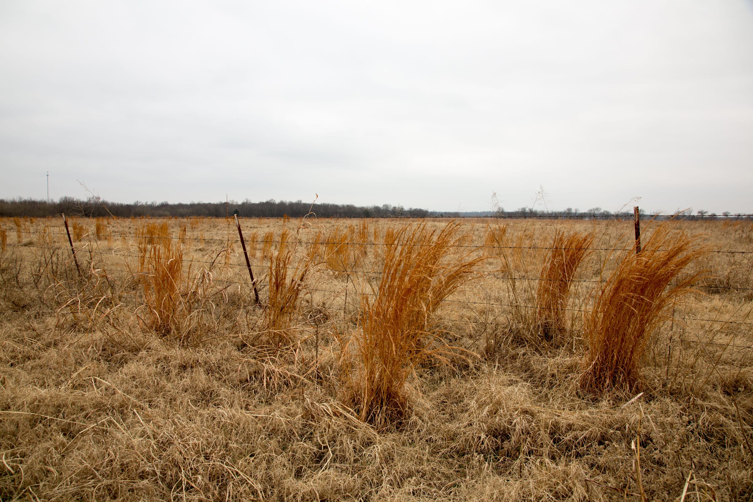 Canadian Plains photo 4