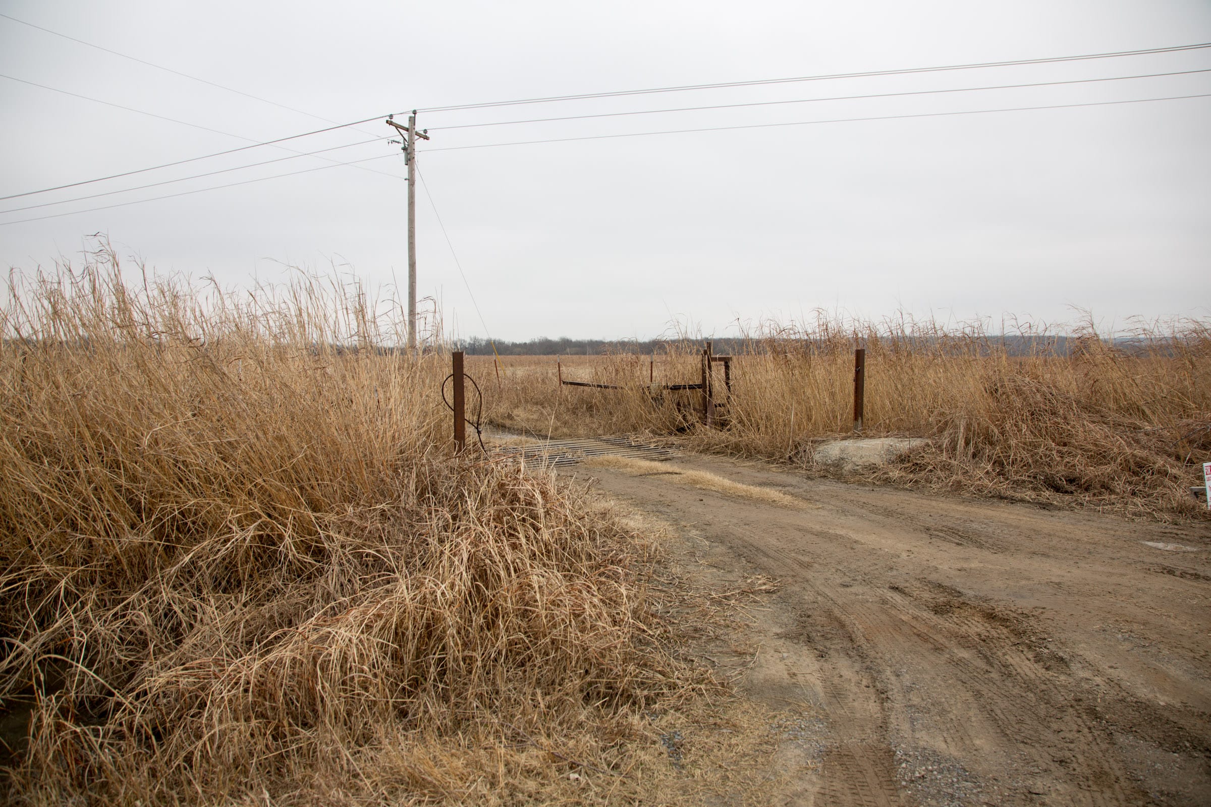 Canadian Plains photo 14