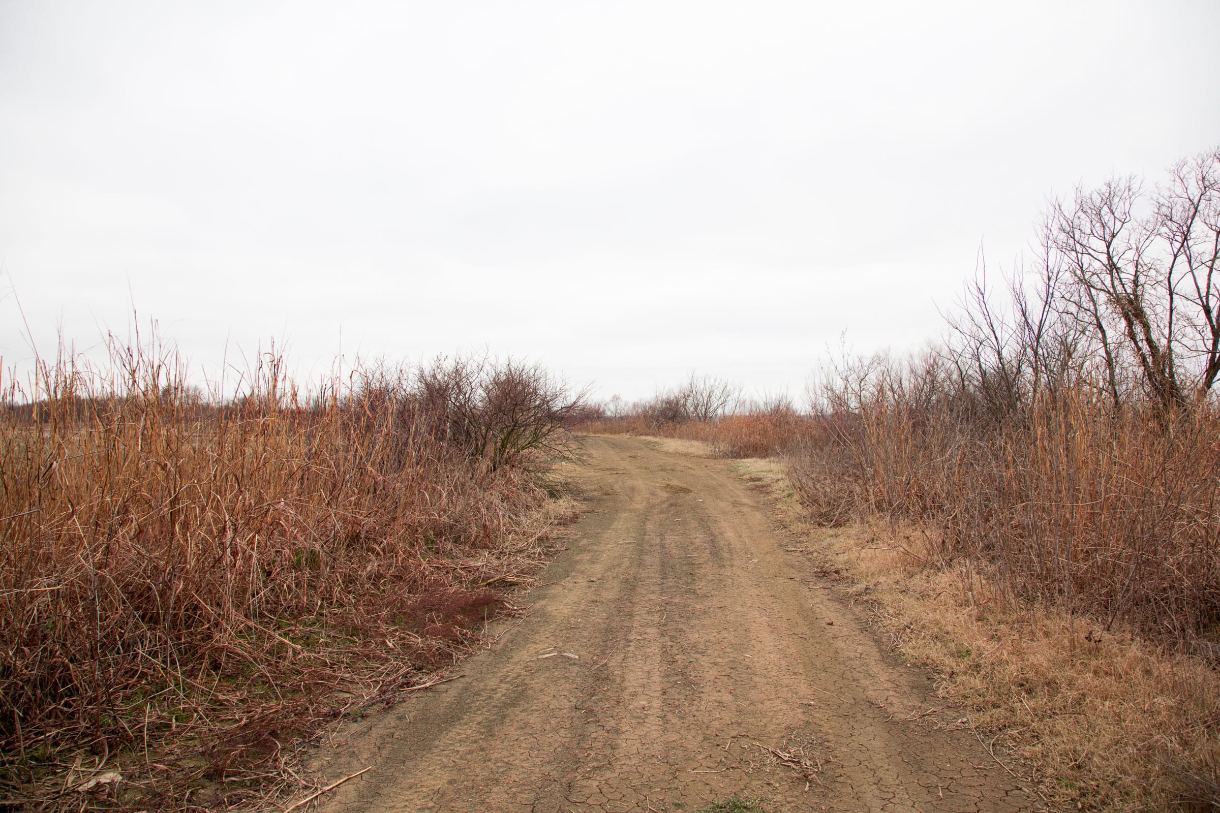 Canadian Plains photo 17