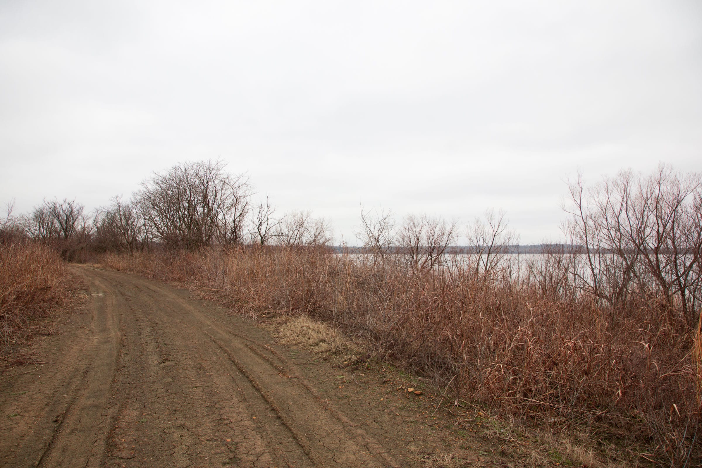 Canadian Plains photo 18