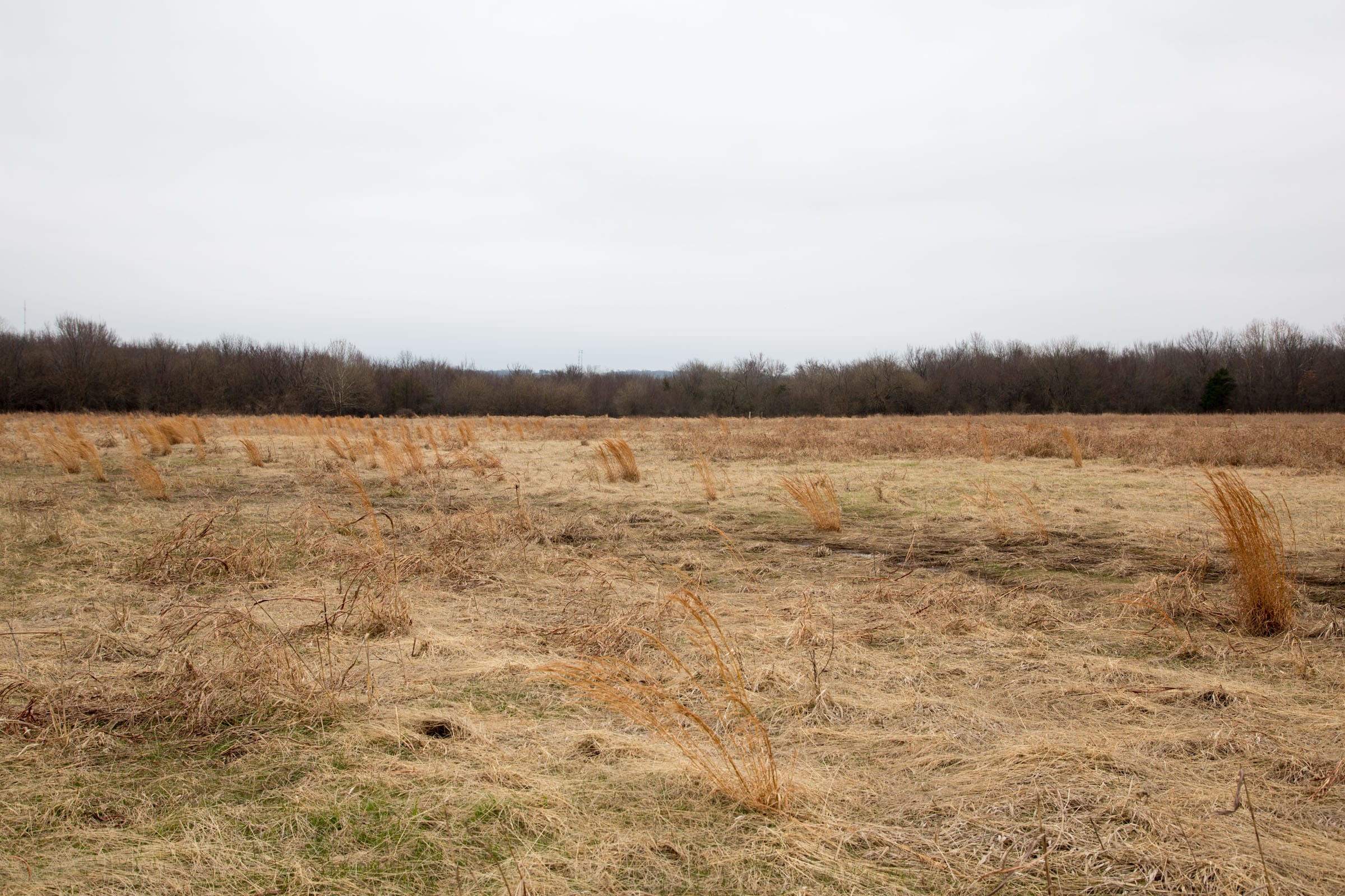 Canadian Plains photo 8