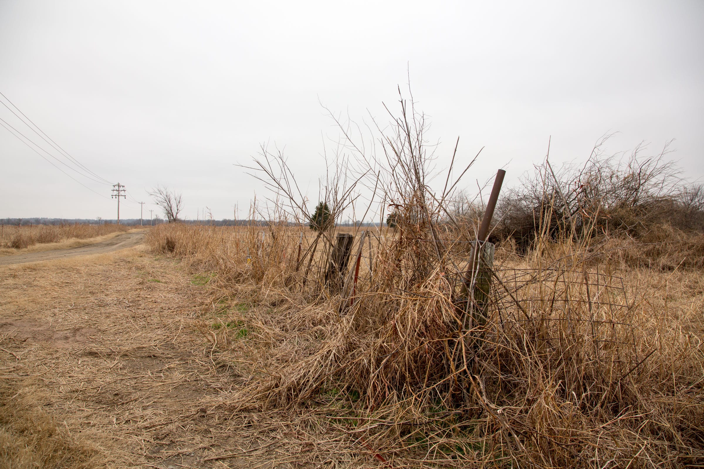 Canadian Plains photo 12