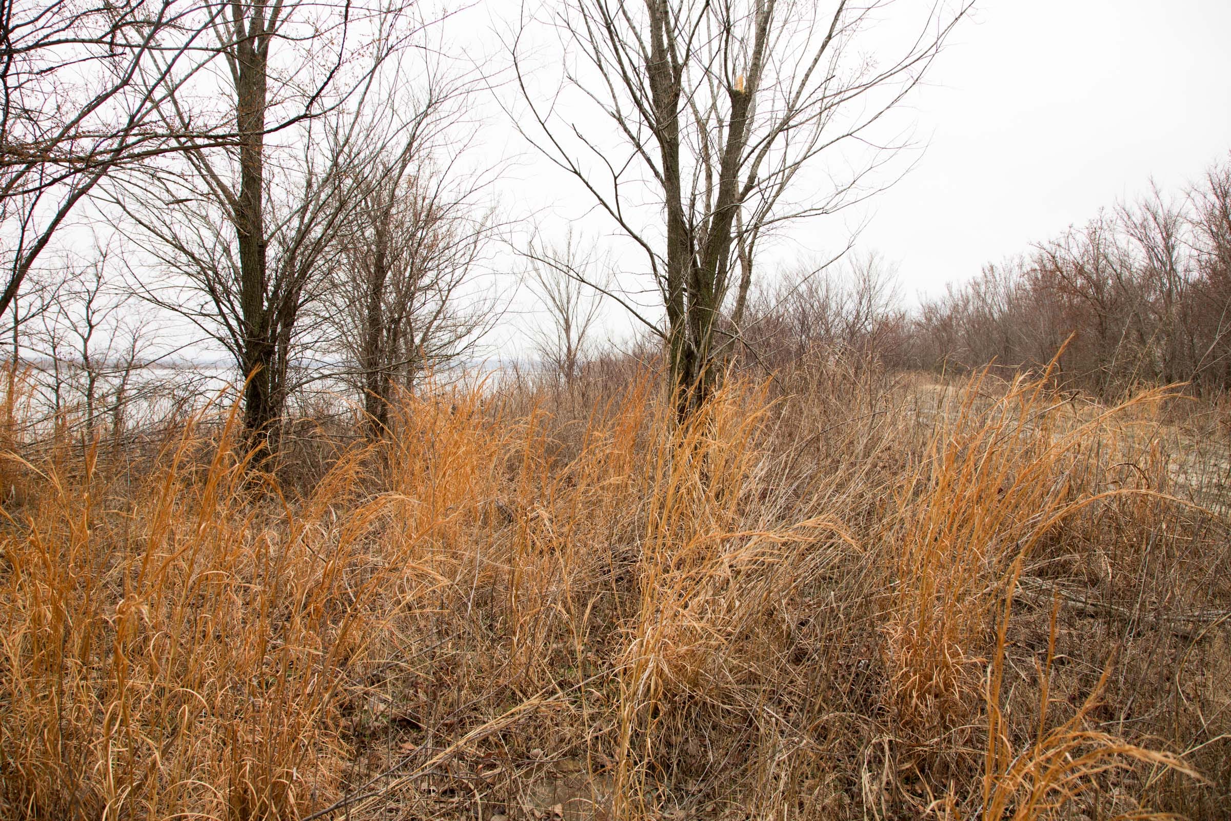 Canadian Plains photo 22