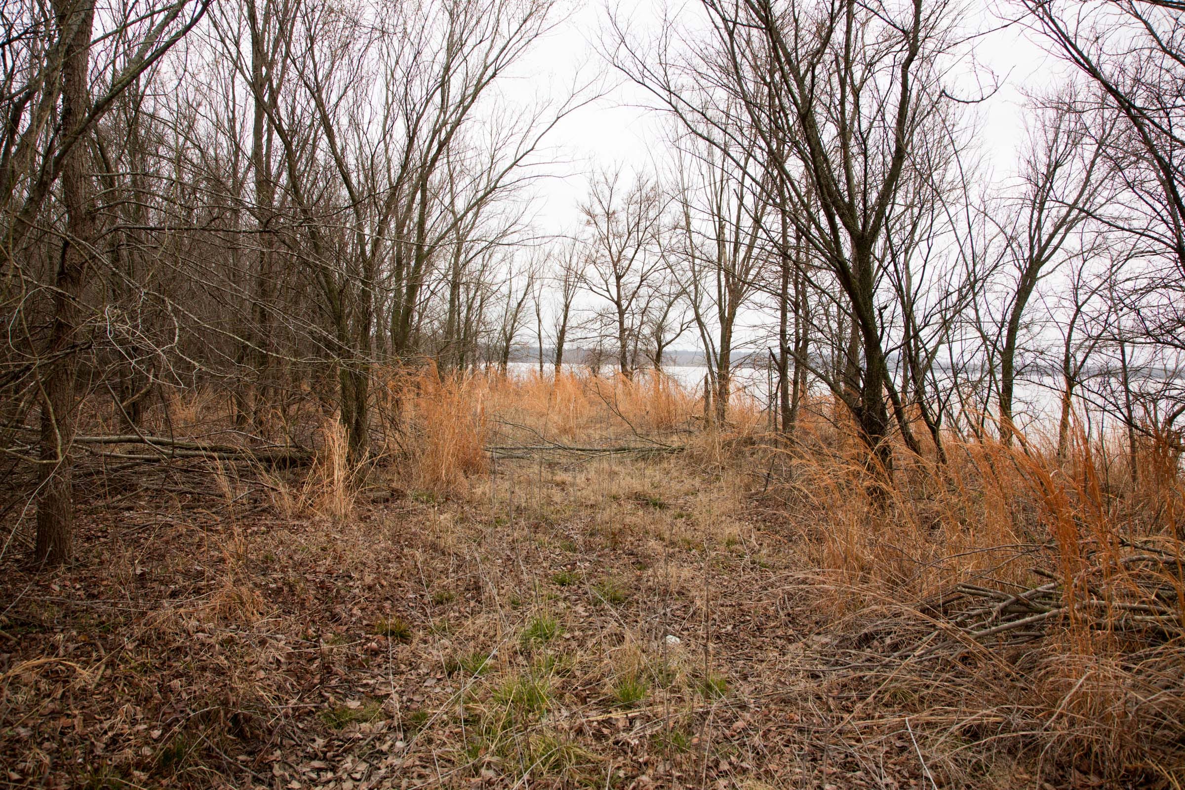 Canadian Plains photo 20