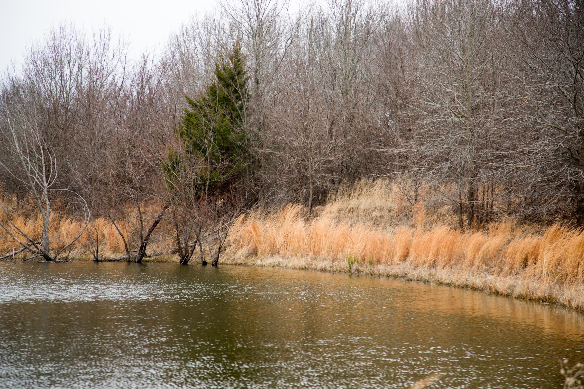 Canadian Plains photo 11