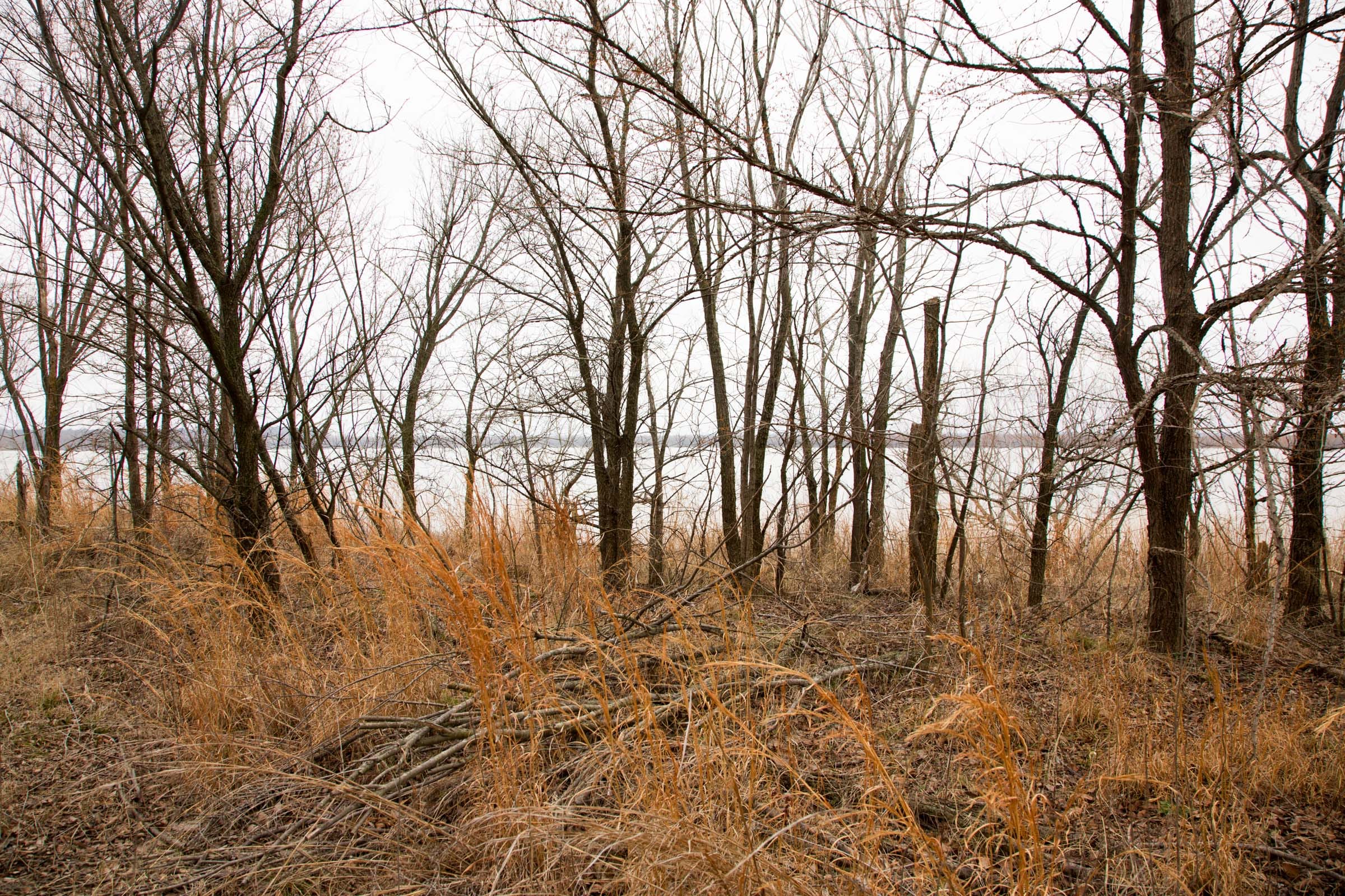 Canadian Plains photo 21