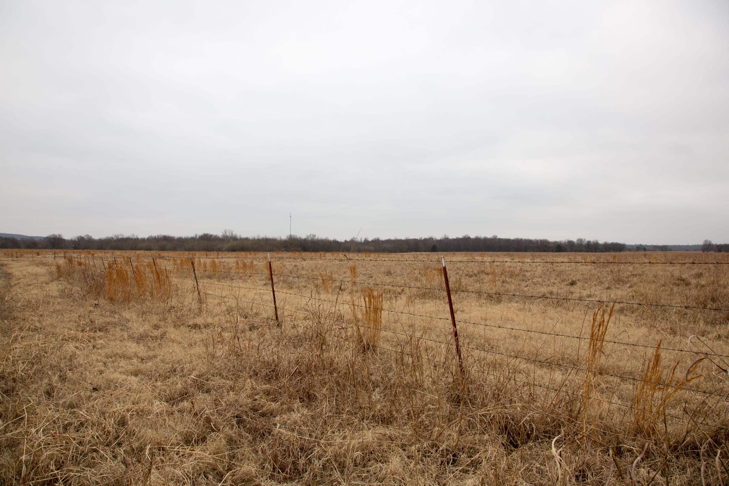 Canadian Plains photo 3