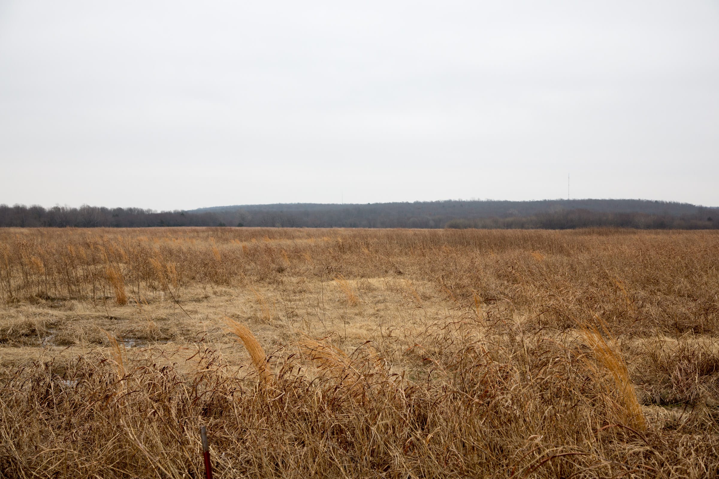 Canadian Plains photo 10