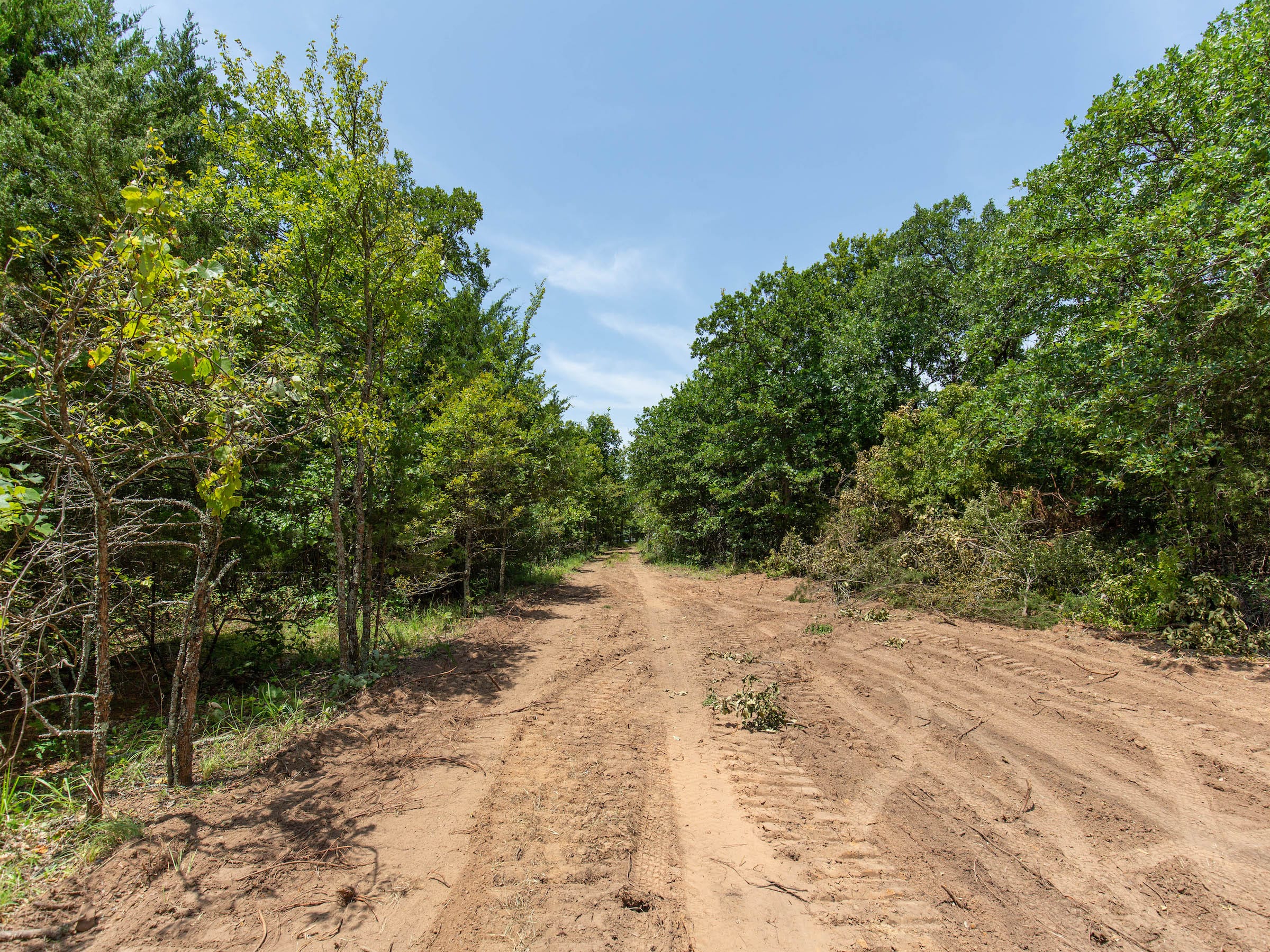 Timber Ridge photo 5