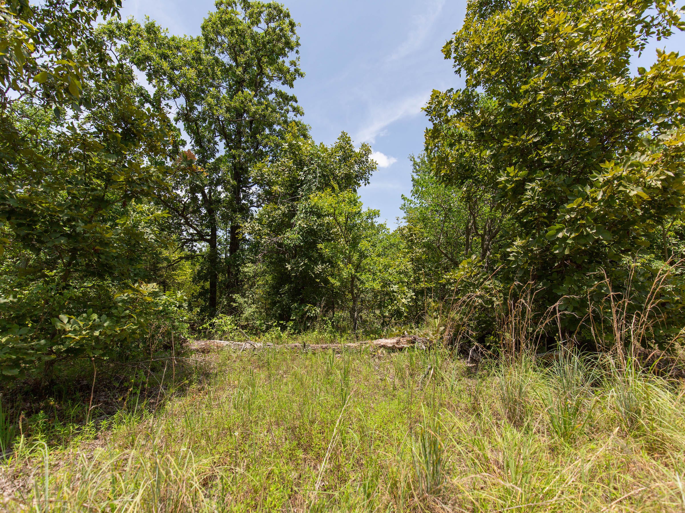 Timber Ridge photo 9