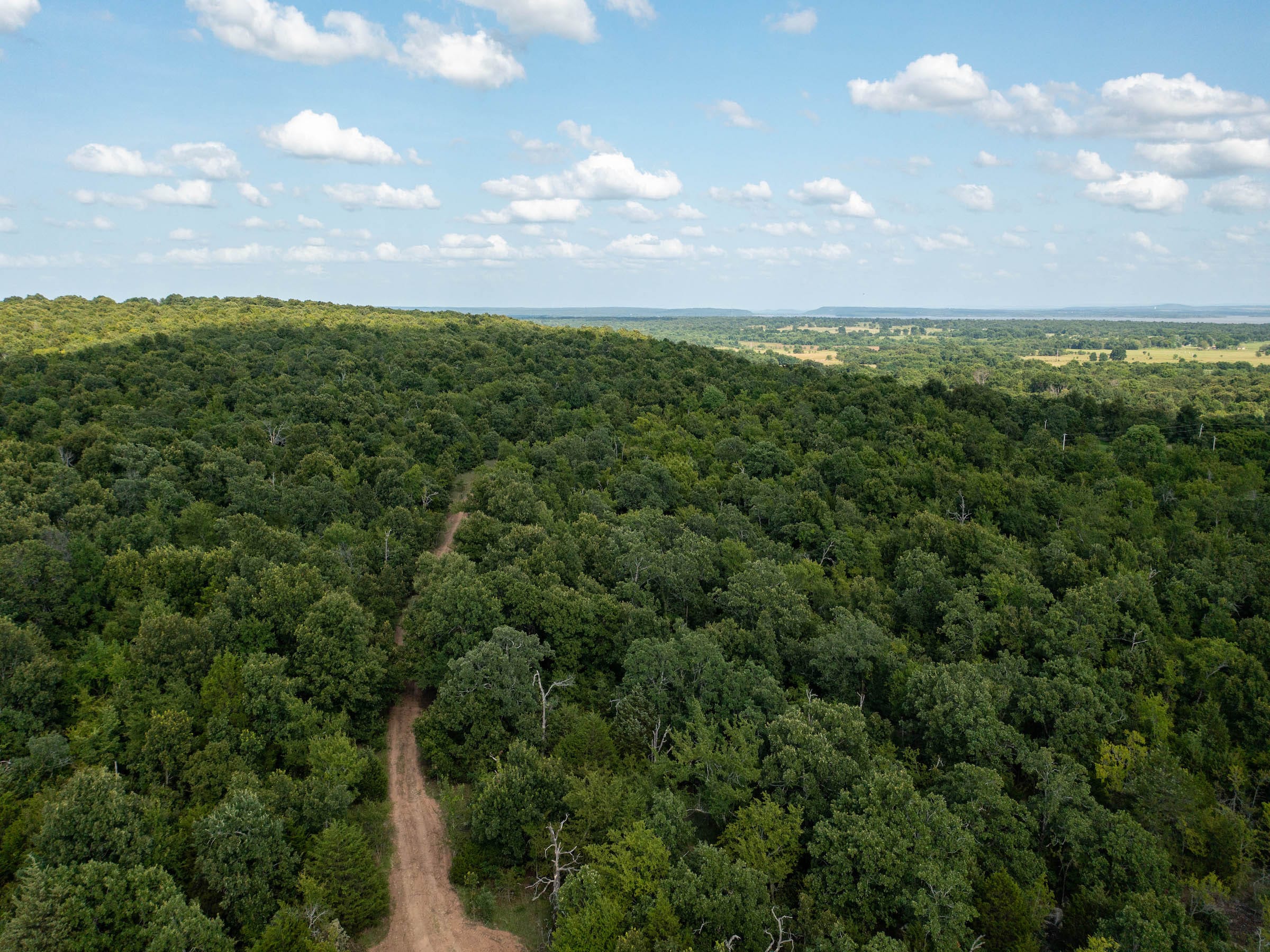 Timber Ridge photo 2
