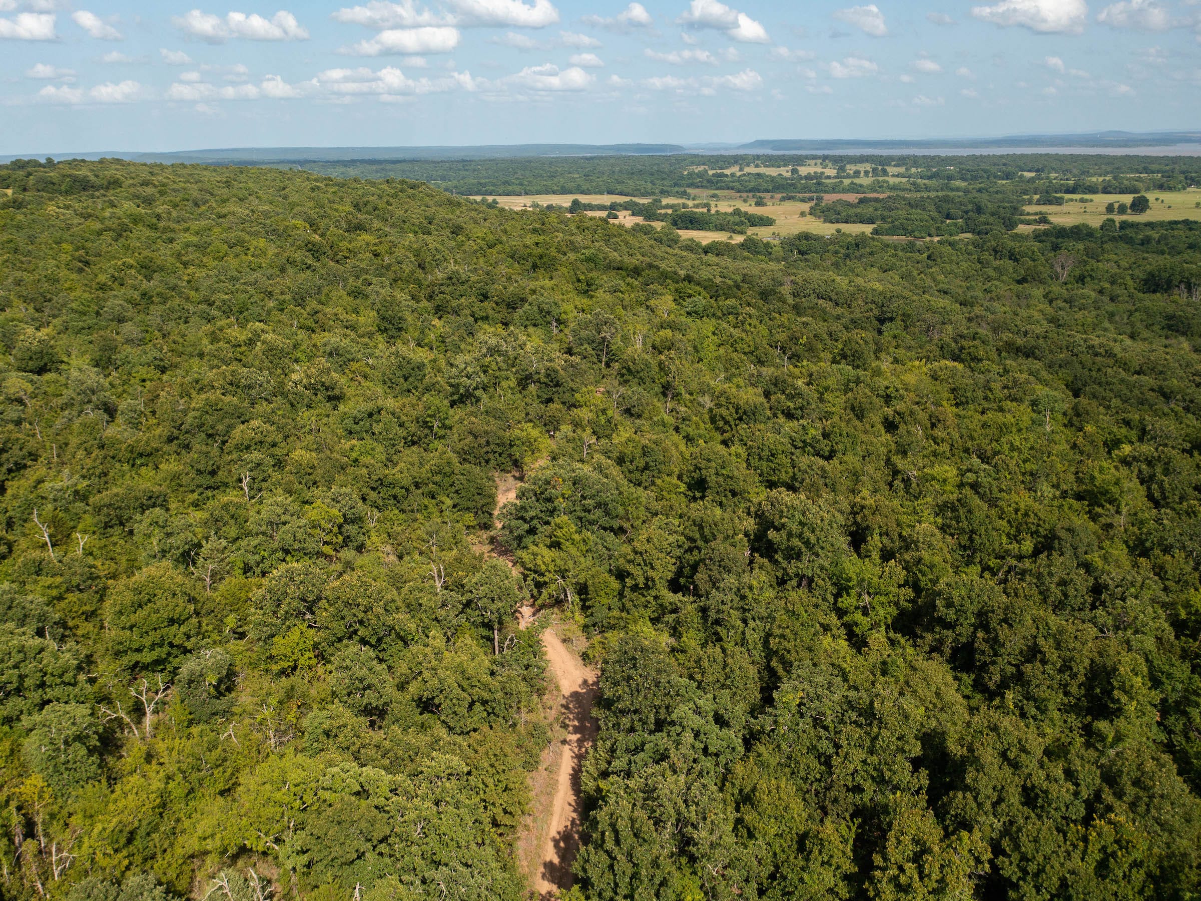 Timber Ridge photo 3