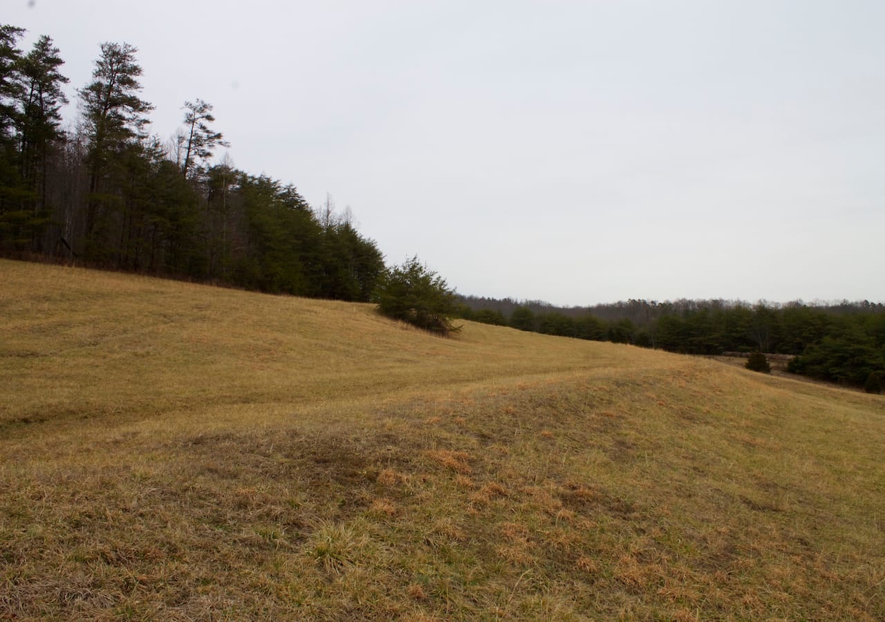 Majestic Rock Ranch photo 2