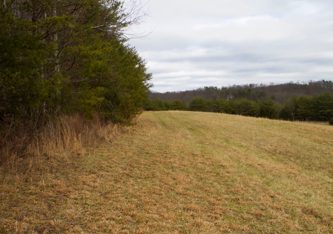 Majestic Rock Ranch photo 10