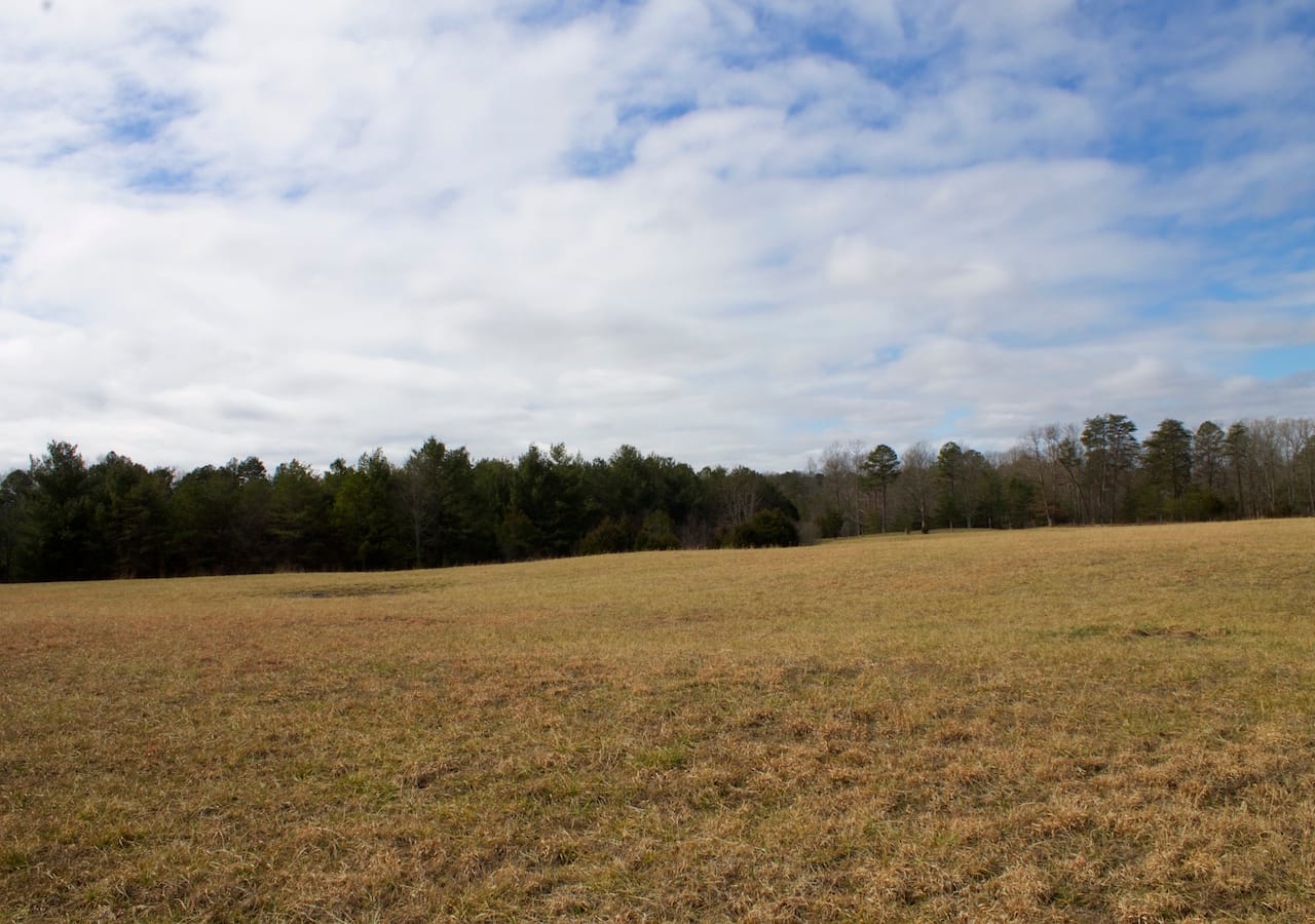 Majestic Rock Ranch photo 6