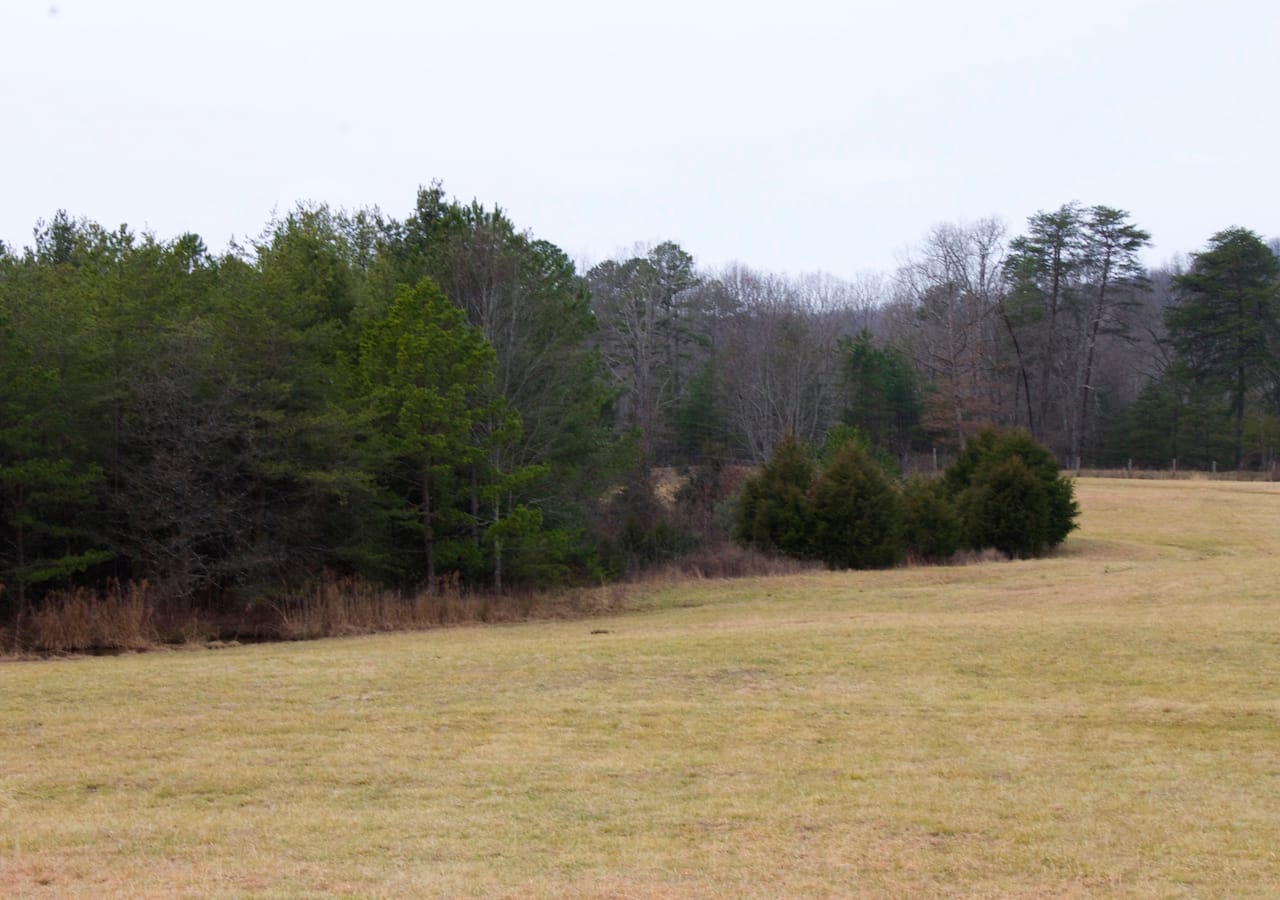 Majestic Rock Ranch photo 1