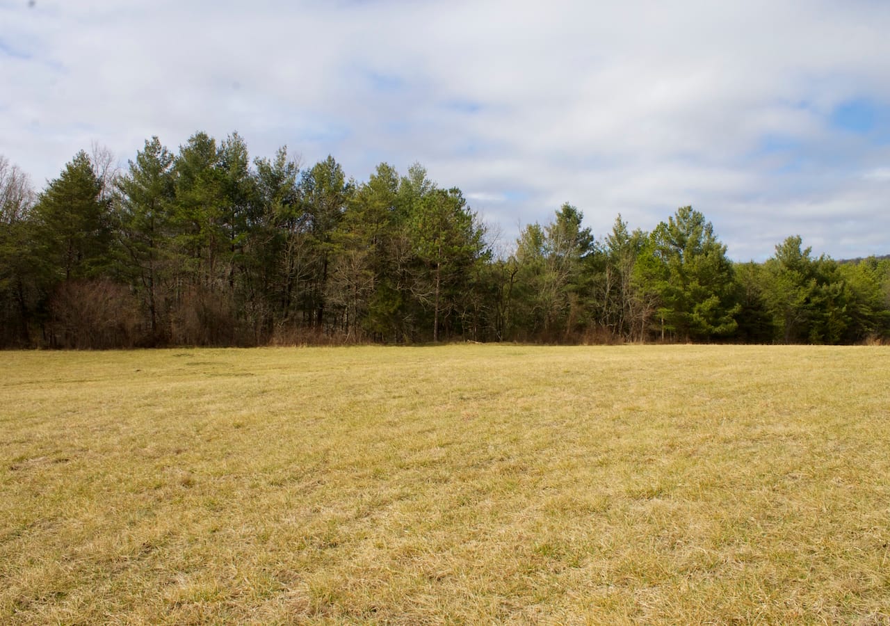 Majestic Rock Ranch photo 3