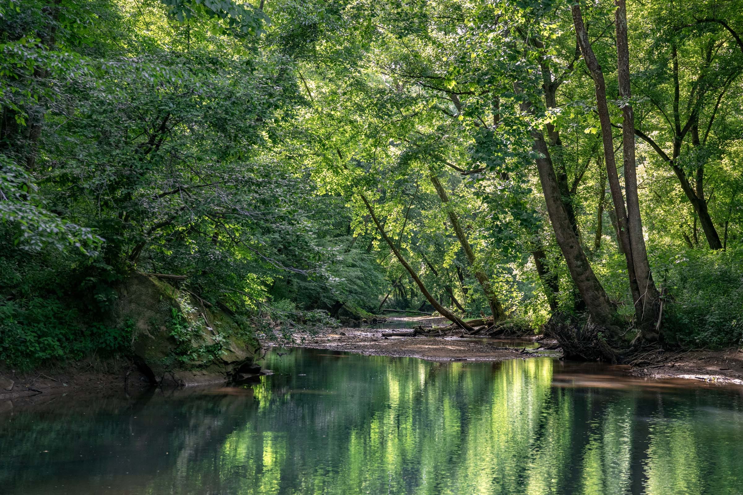 River’s Edge photo 8