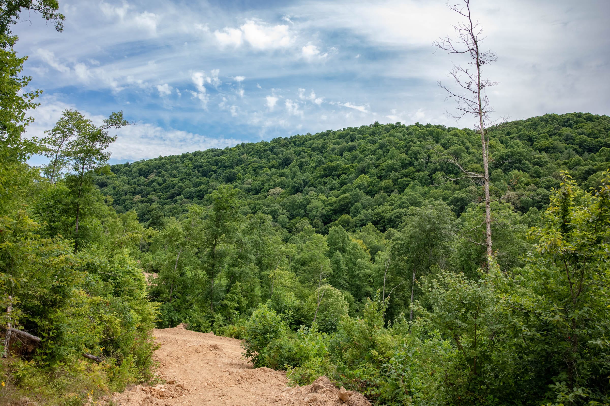 River’s Edge photo 6