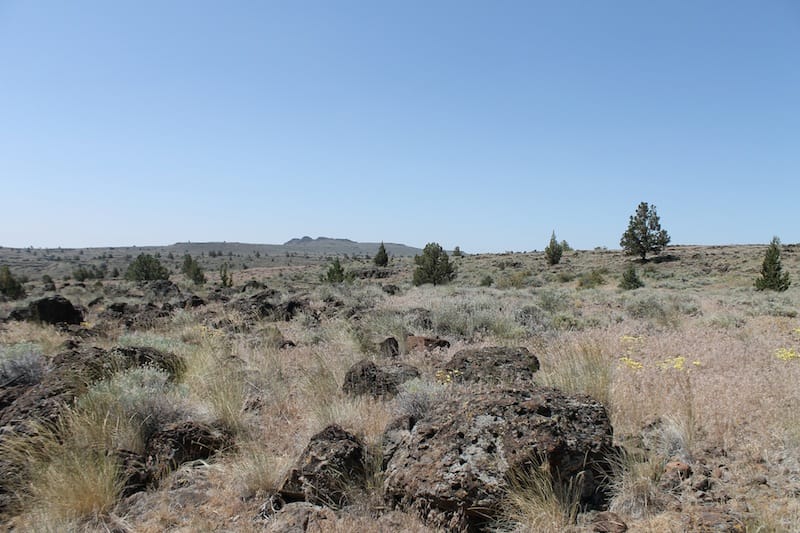 Ravendale Ranch photo 2