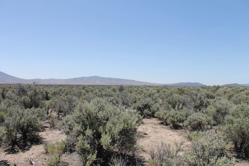 Ravendale Ranch photo 6