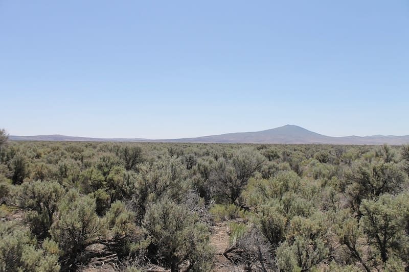 Ravendale Ranch photo 3