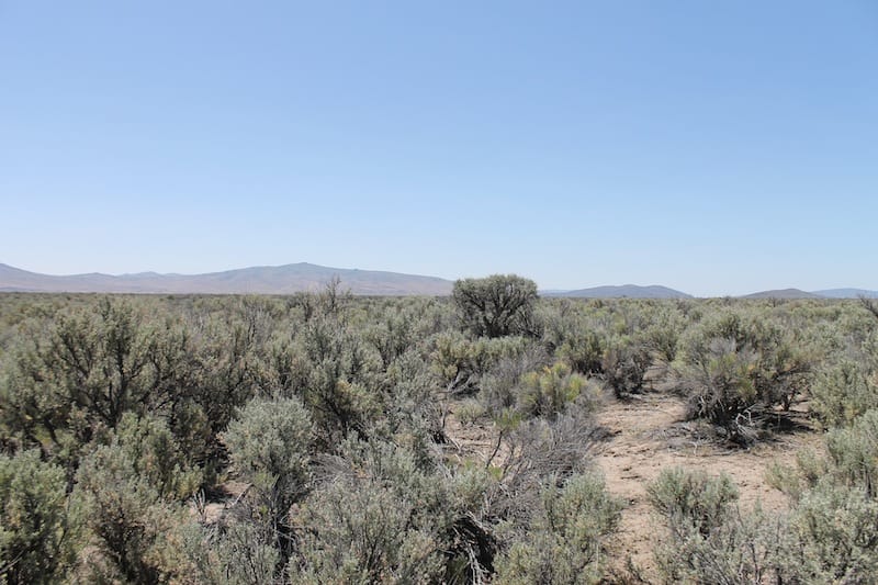 Ravendale Ranch photo 5