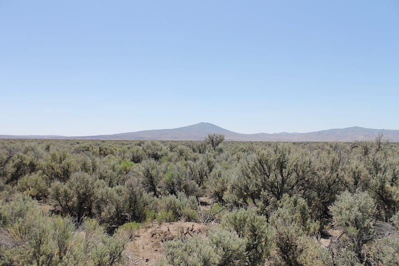 Ravendale Ranch photo 4