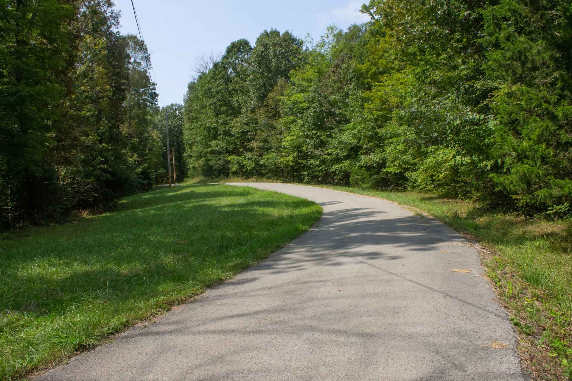 Bluegrass Ridge photo 7
