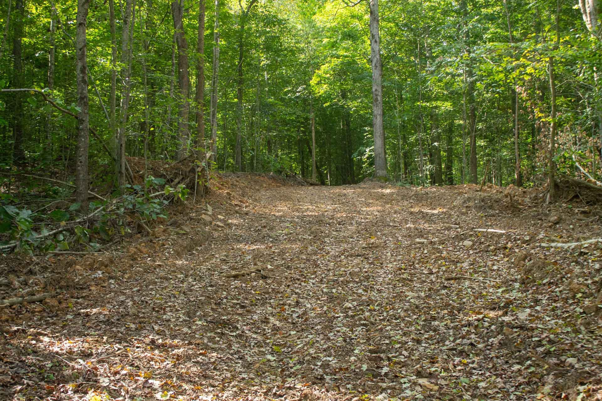Bluegrass Ridge photo 3