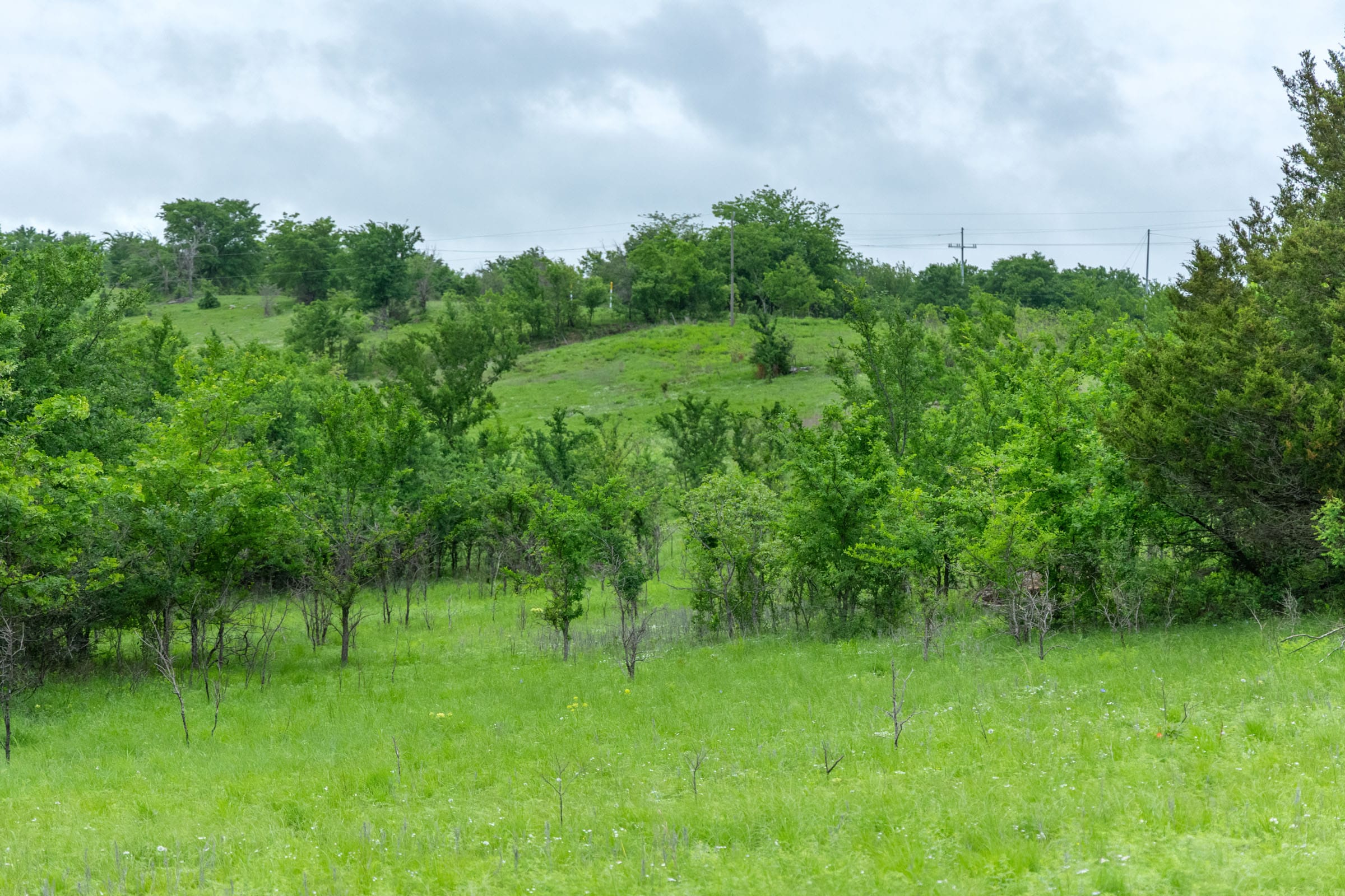 Harmony Hills photo 10