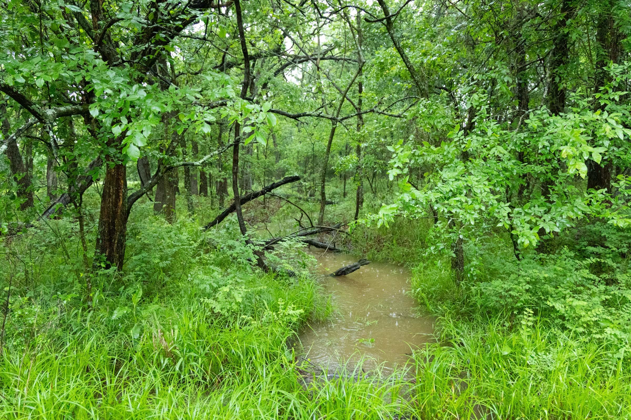 Harmony Hills photo 8