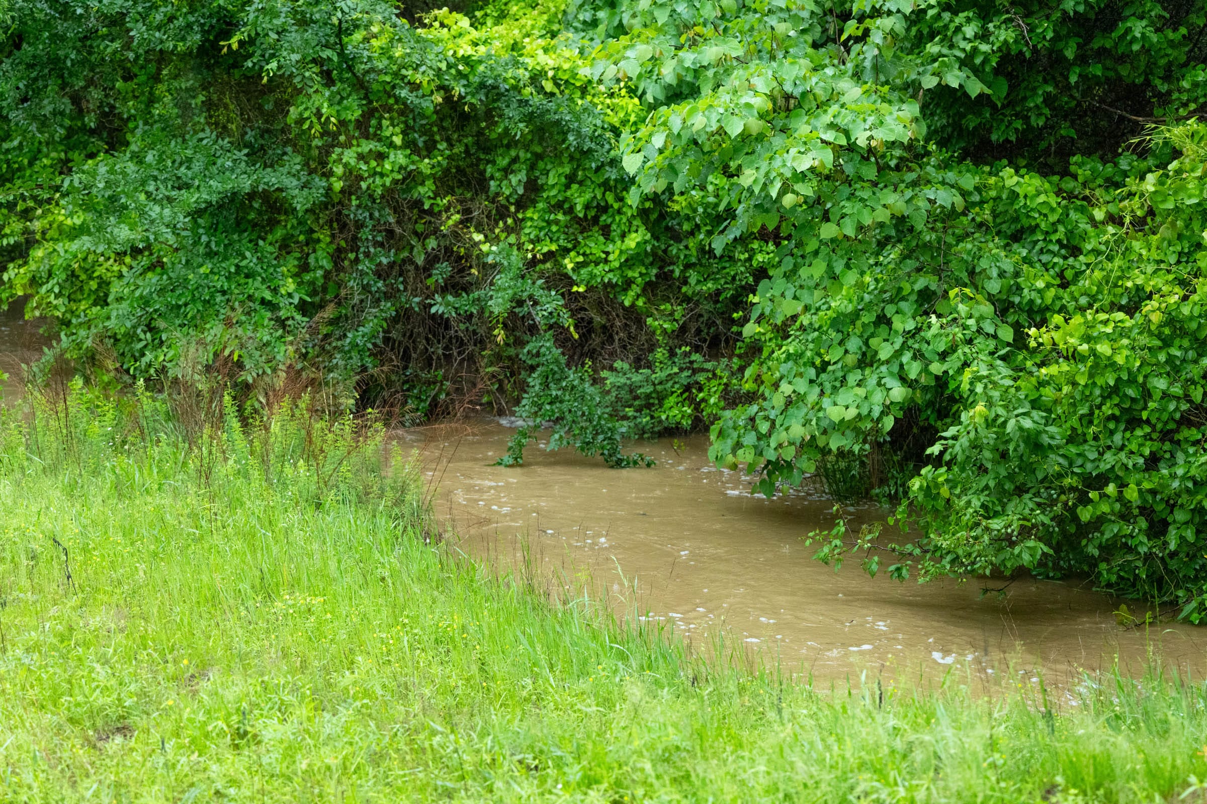 Harmony Hills photo 19