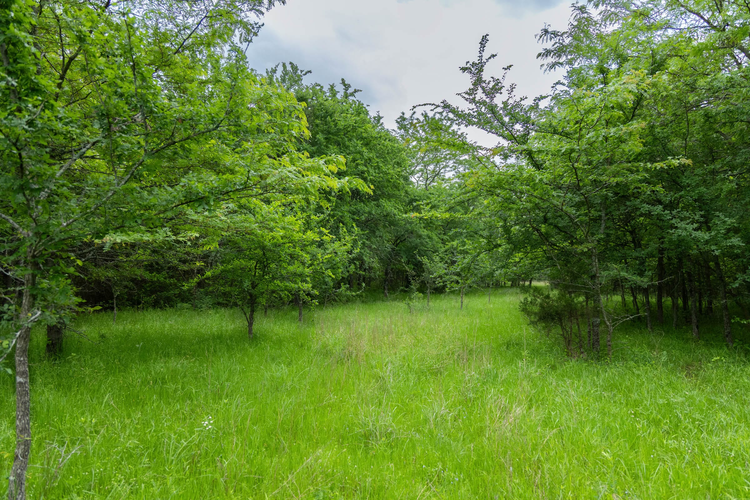Harmony Hills photo 13