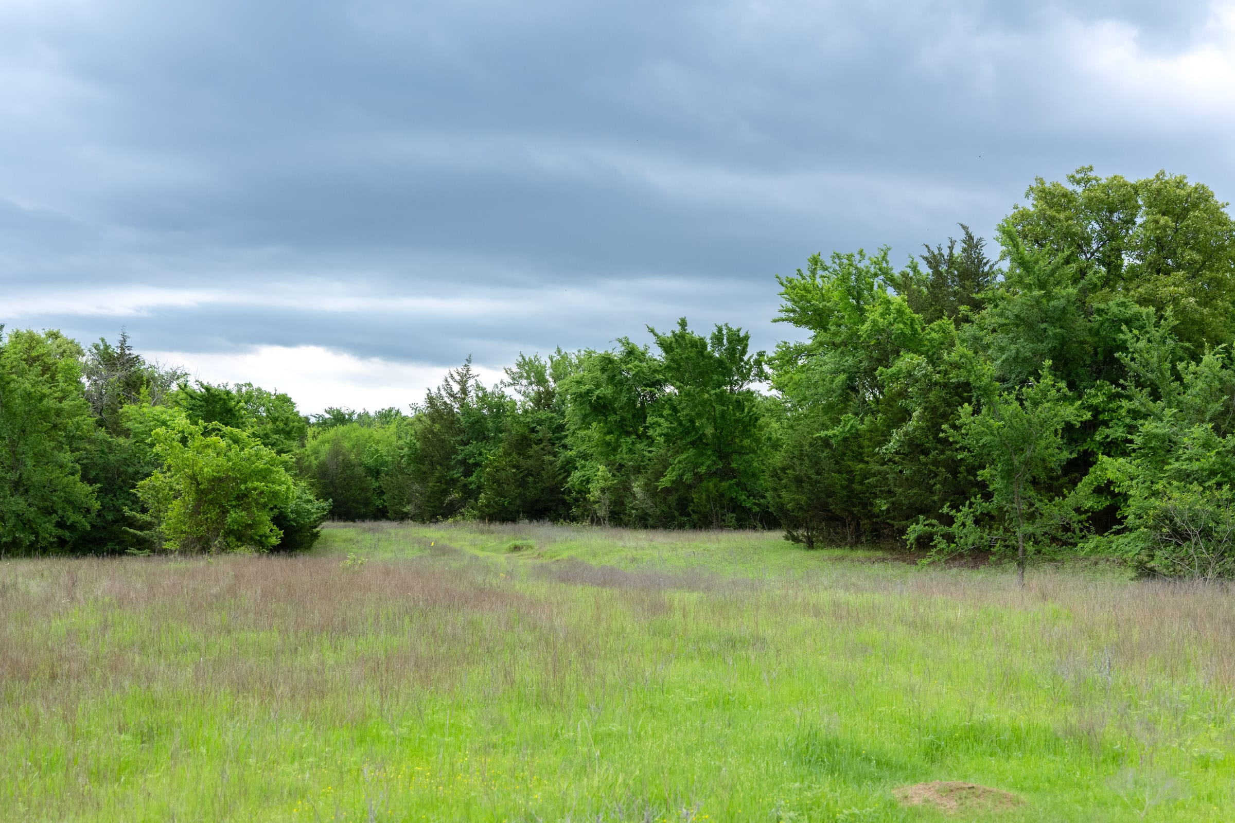 Harmony Hills photo 14