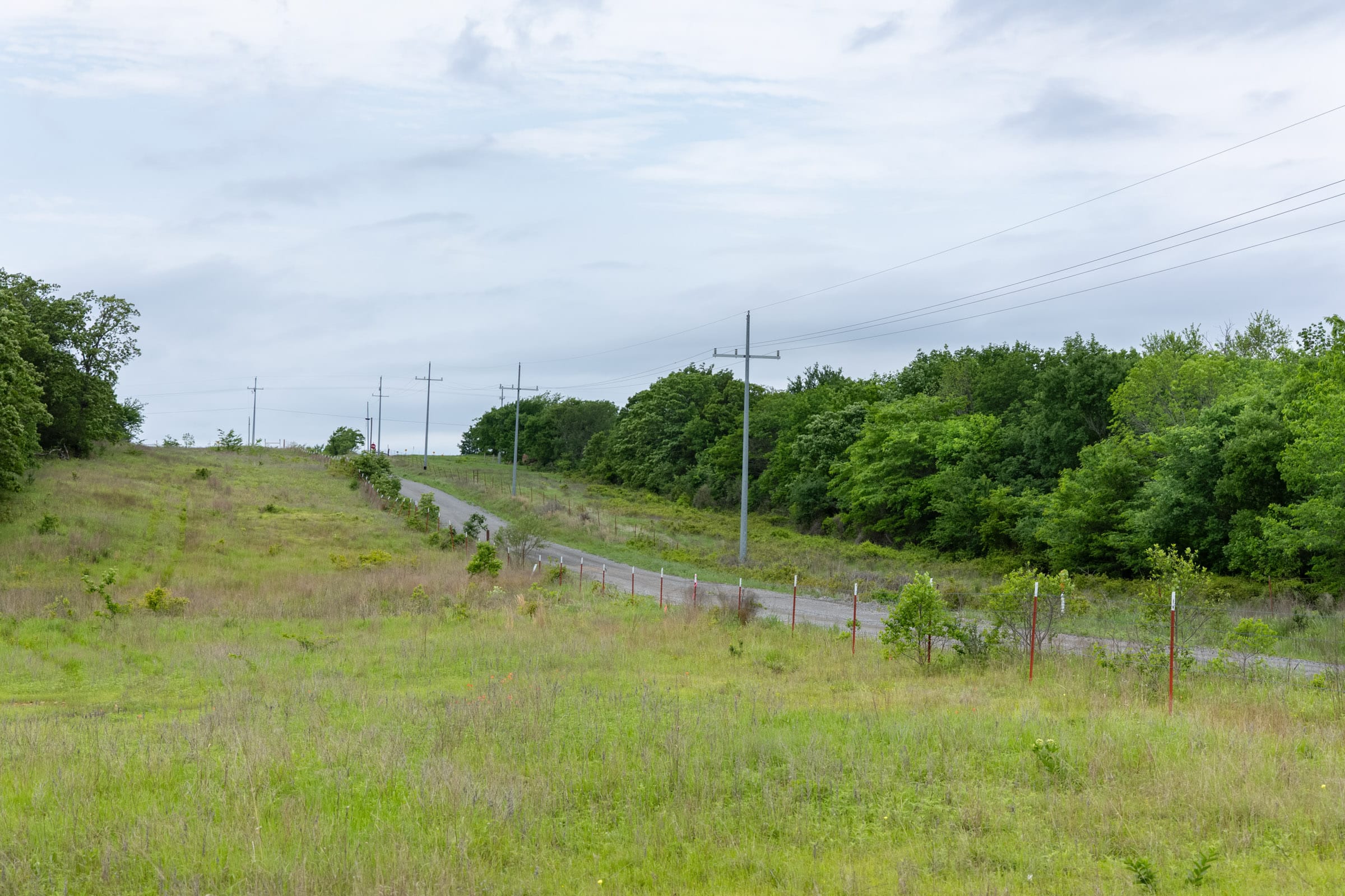Harmony Hills photo 21