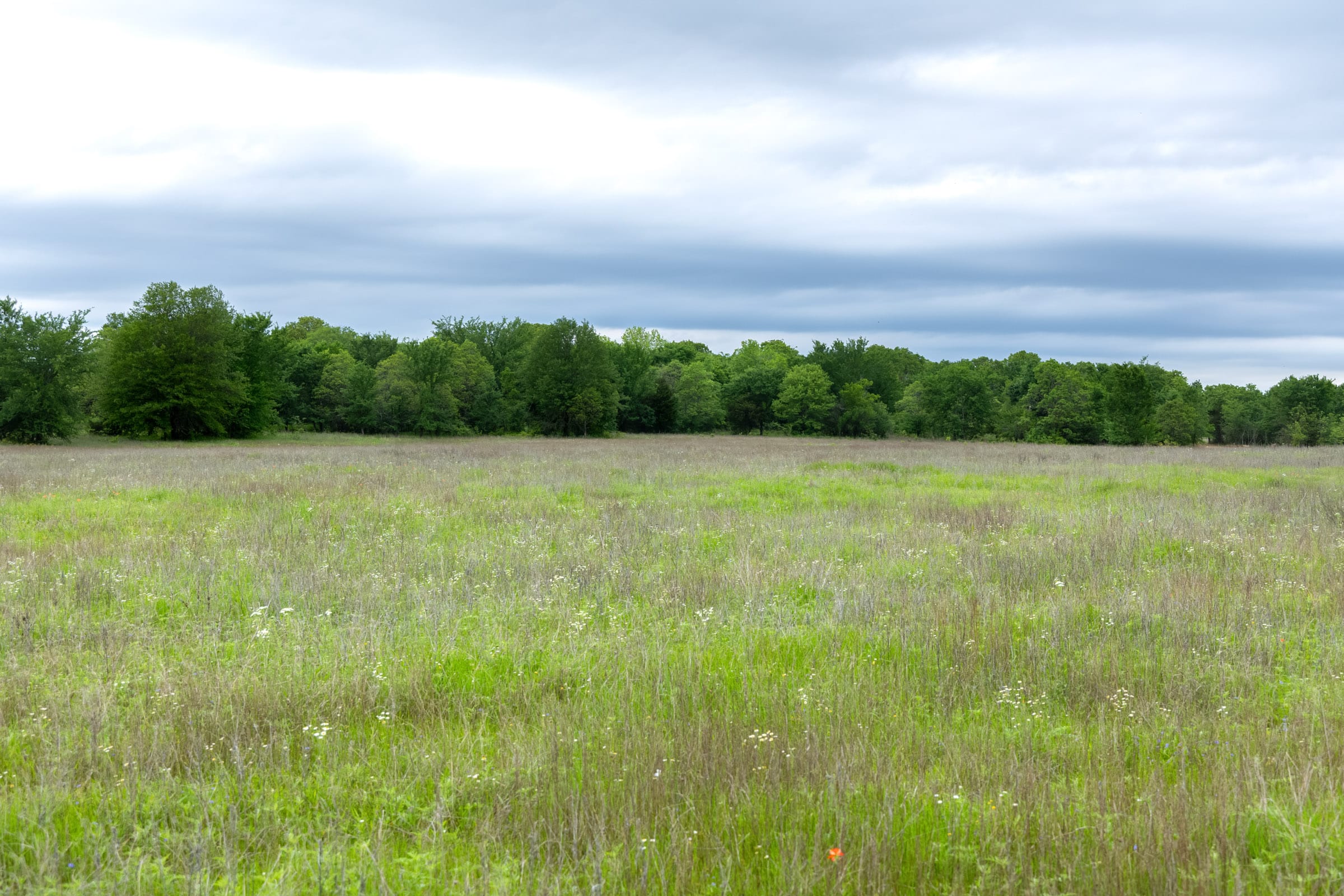 Harmony Hills photo 2