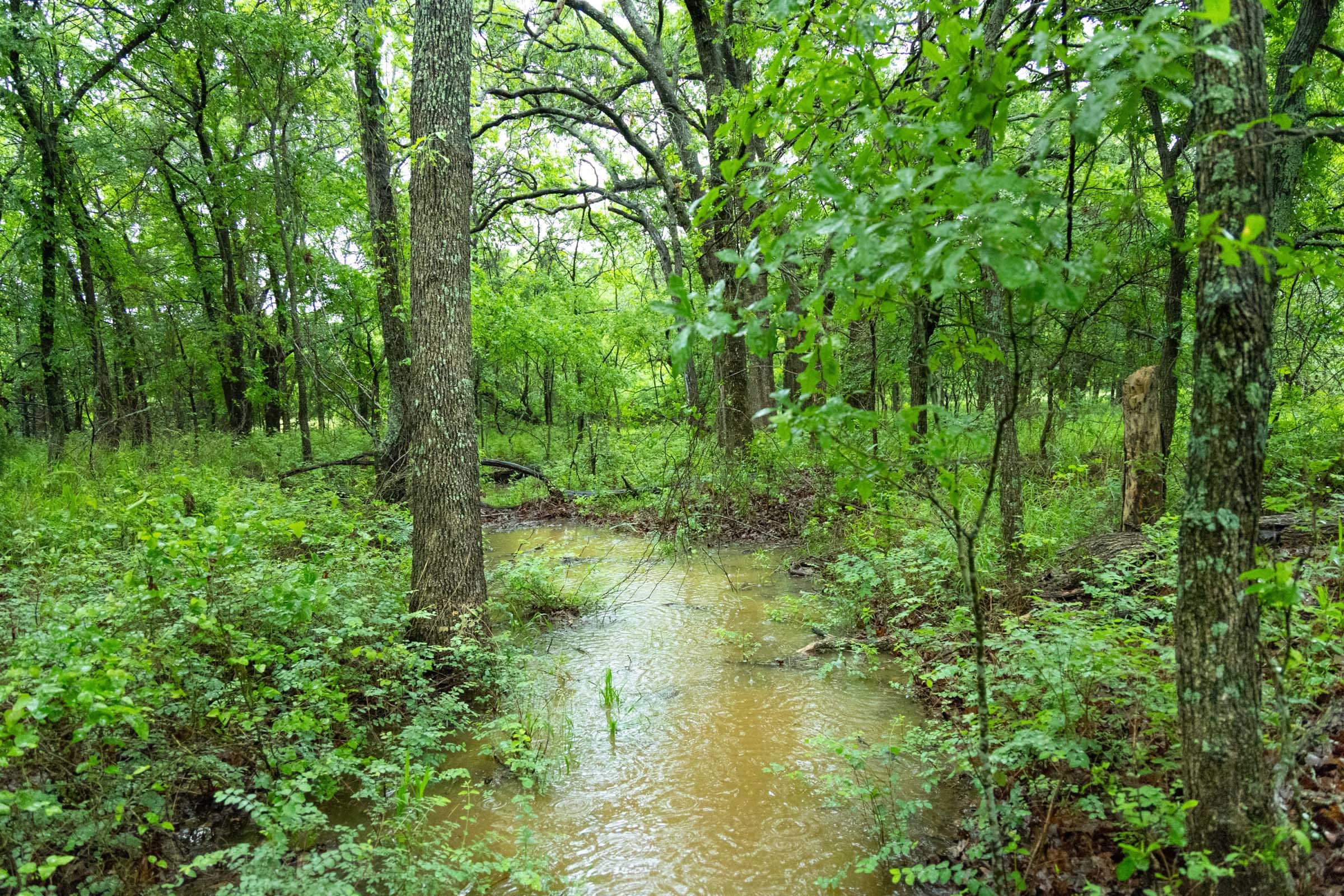 Harmony Hills photo 23