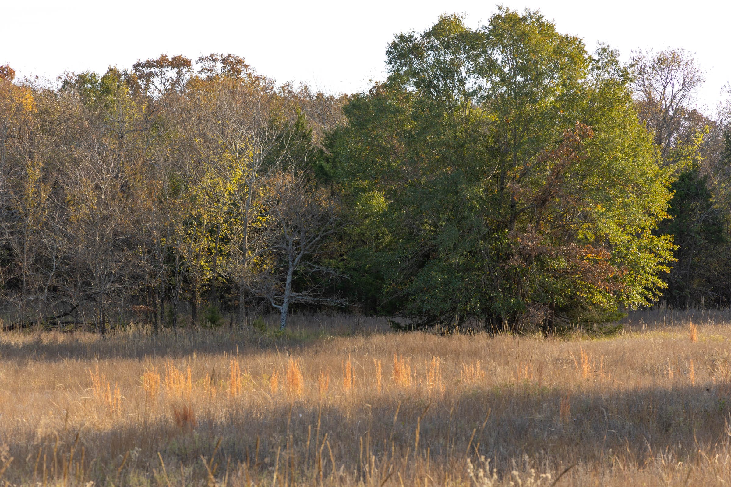 Harmony Hills photo 9