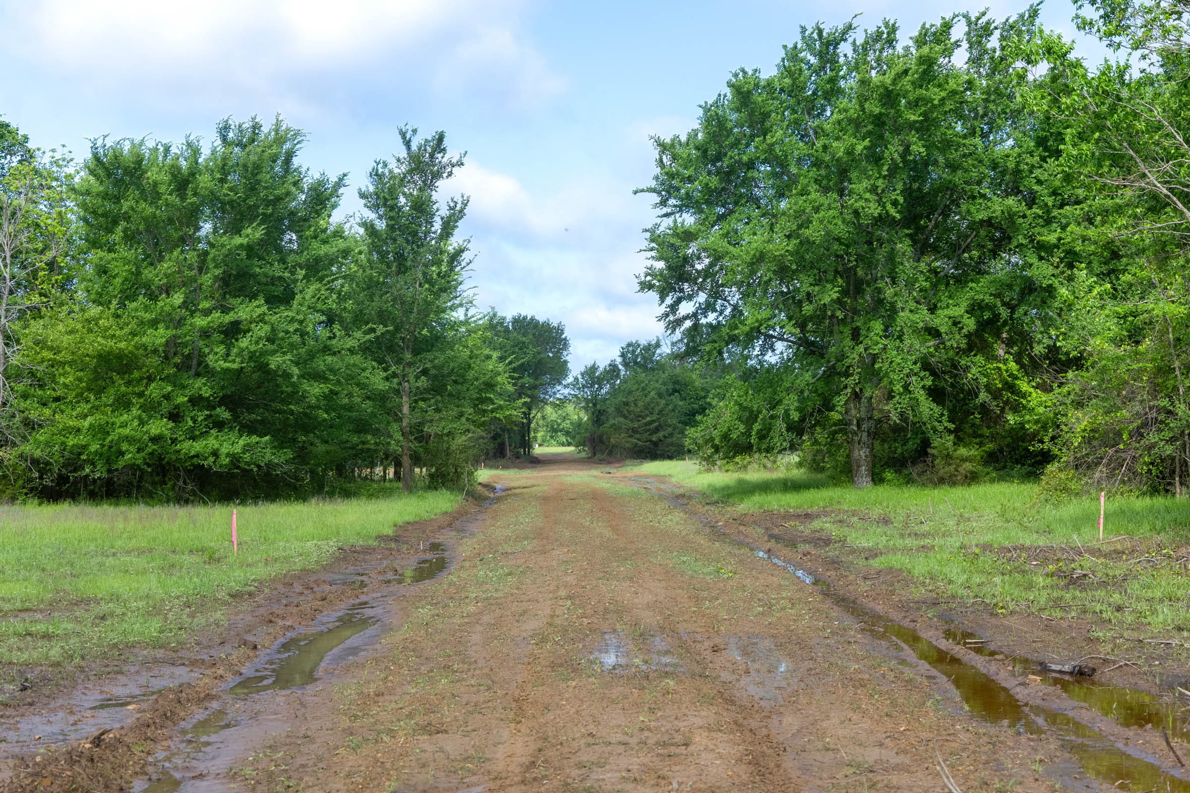 Harmony Hills photo 24