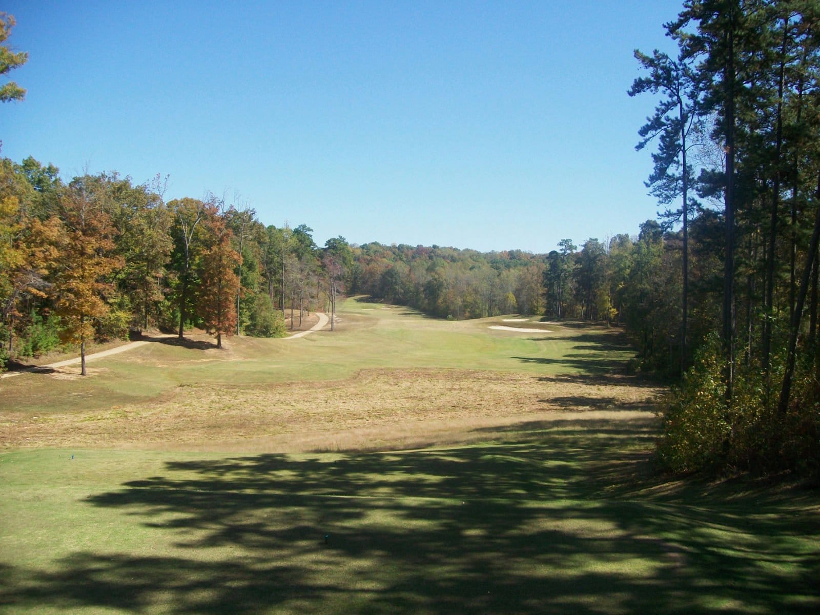 The Tennessean photo 2