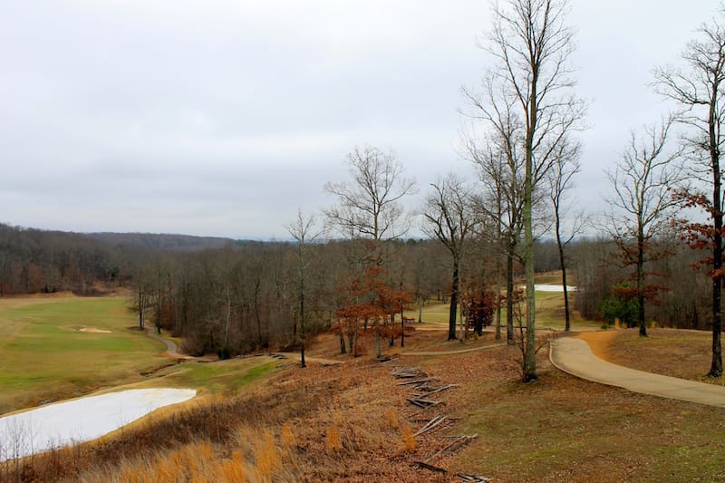 The Tennessean photo 8