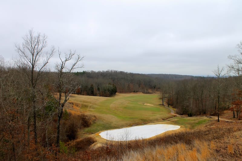 The Tennessean photo 7