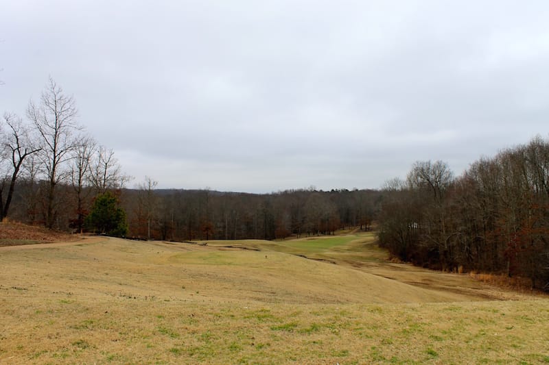 The Tennessean photo 9