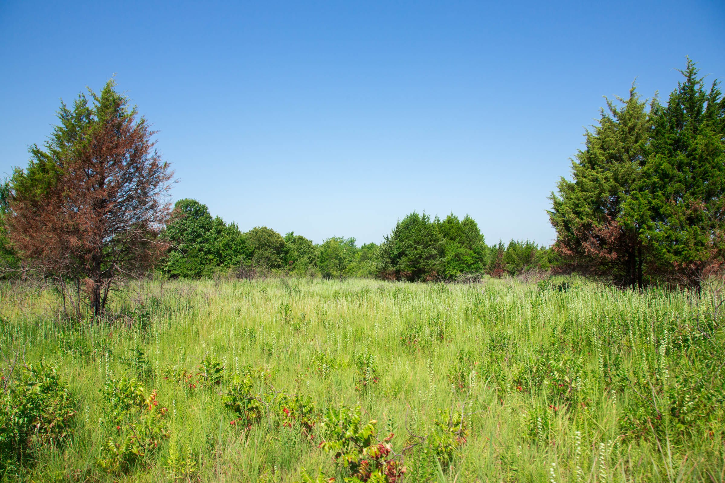 Deep Fork Ranch photo 7