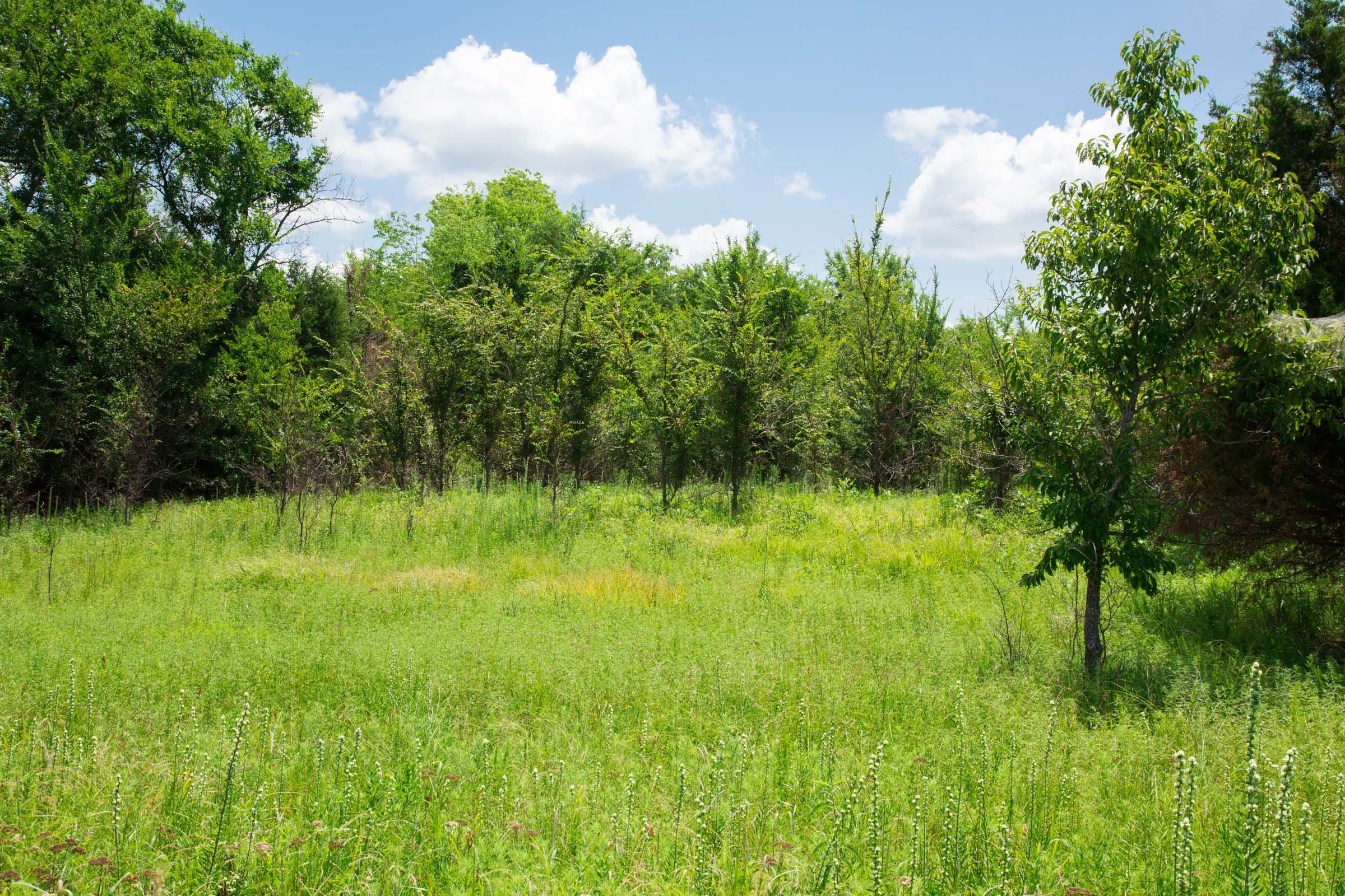 Deep Fork Ranch photo 18