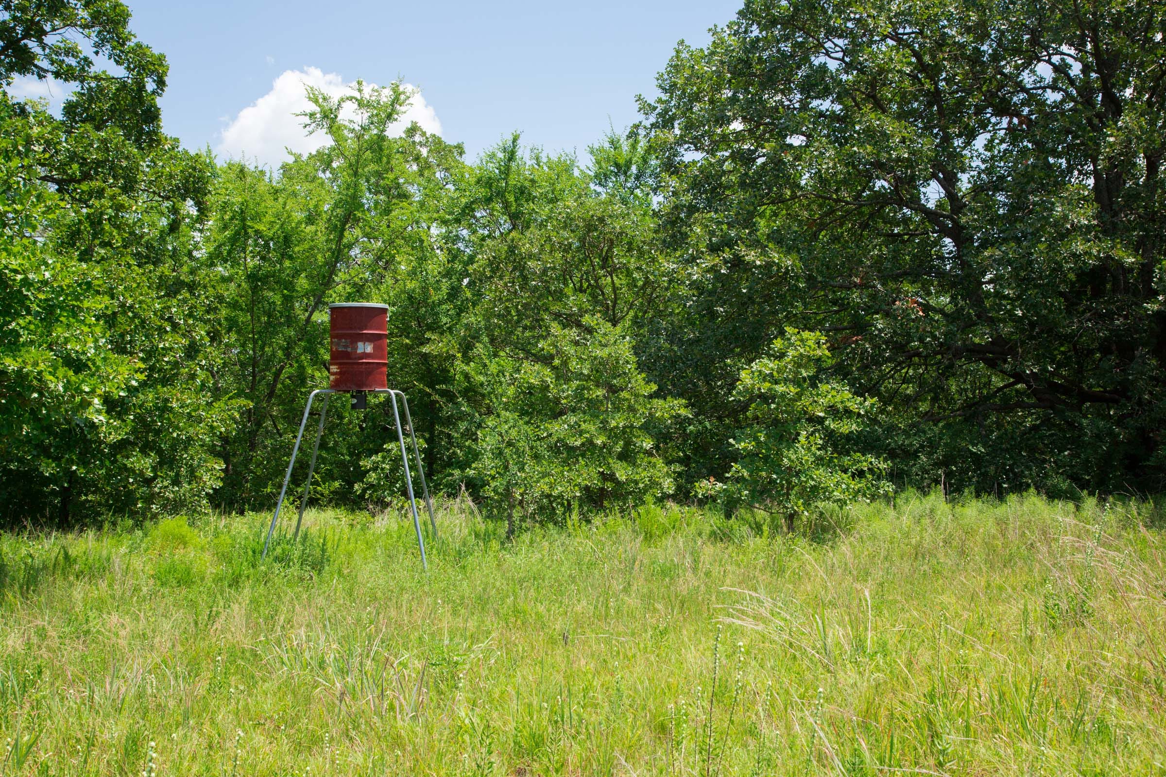 Deep Fork Ranch photo 26