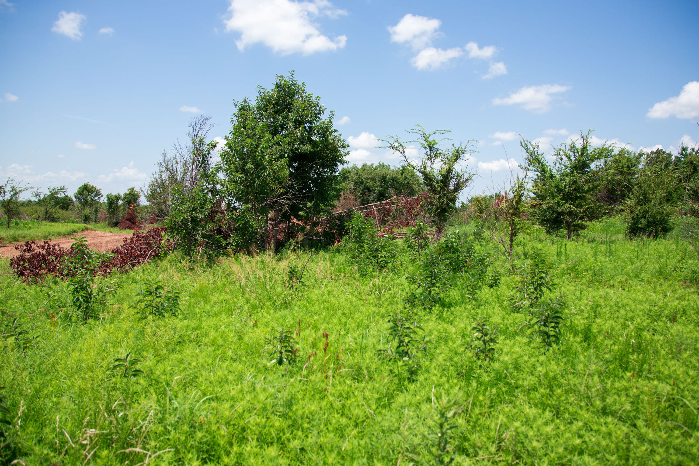 Deep Fork Ranch photo 16