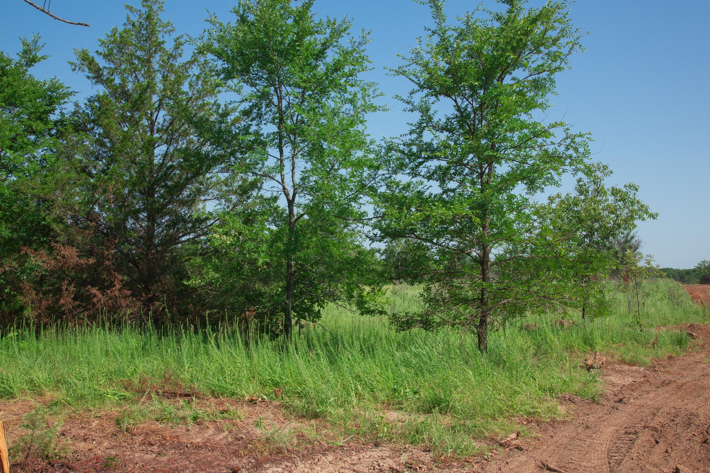 Deep Fork Ranch photo 2