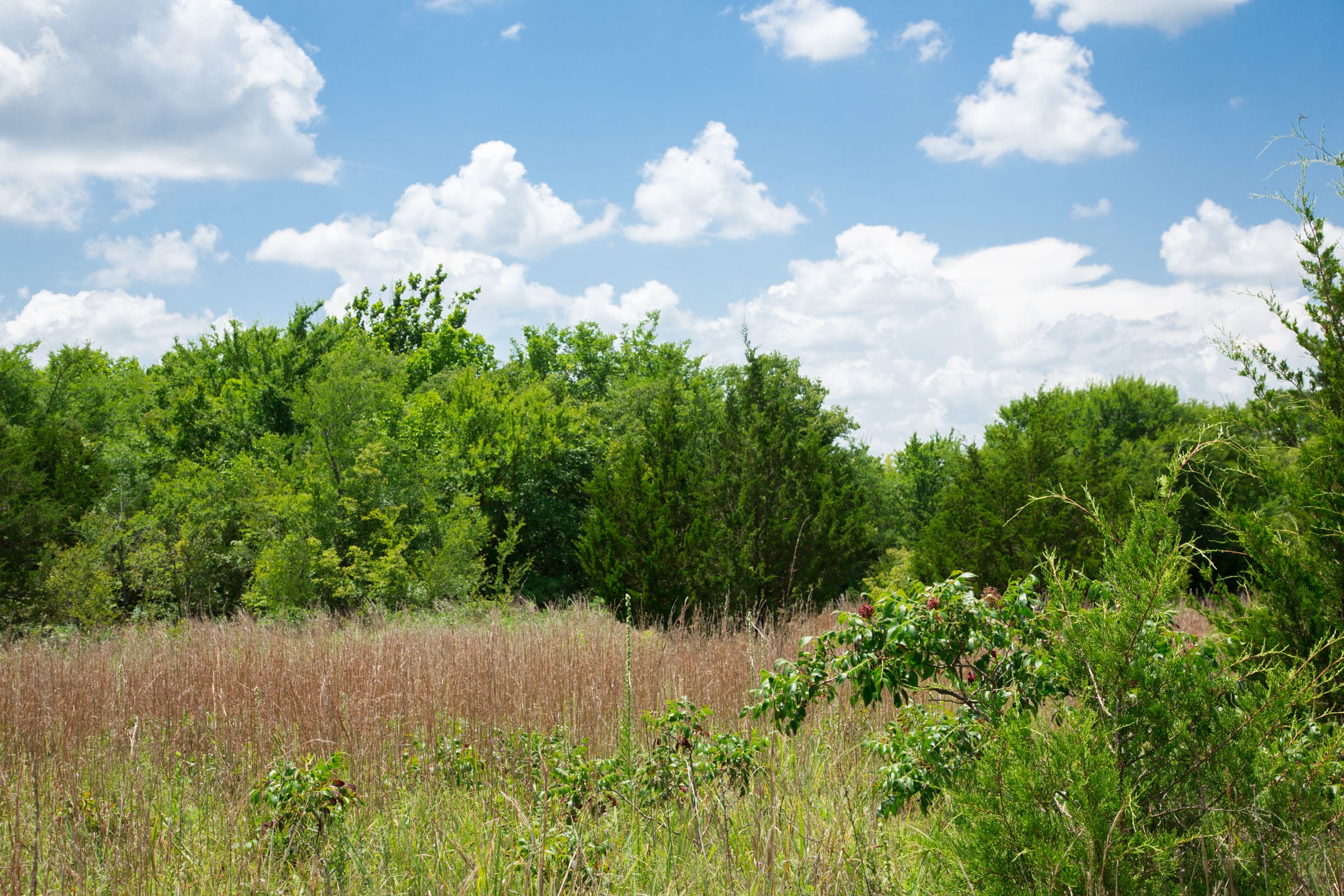Deep Fork Ranch photo 23